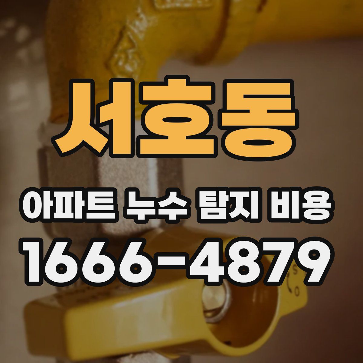 서호동 아파트 누수 탐지 비용