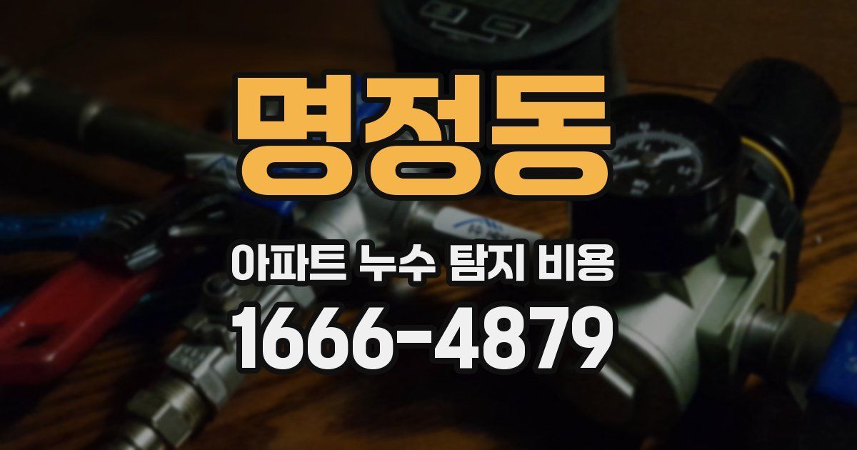 명정동 아파트 누수 탐지 비용