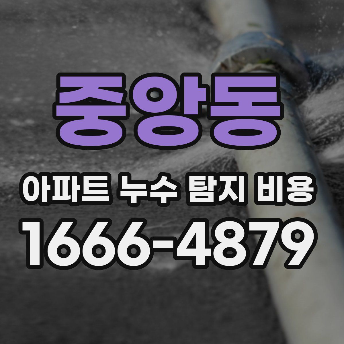 중앙동 아파트 누수 탐지 비용