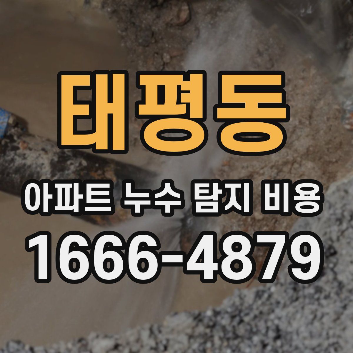 태평동 아파트 누수 탐지 비용