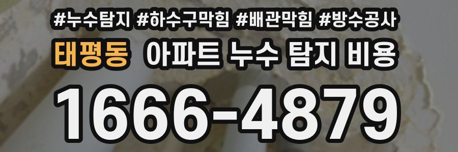 태평동 아파트 누수 탐지 비용