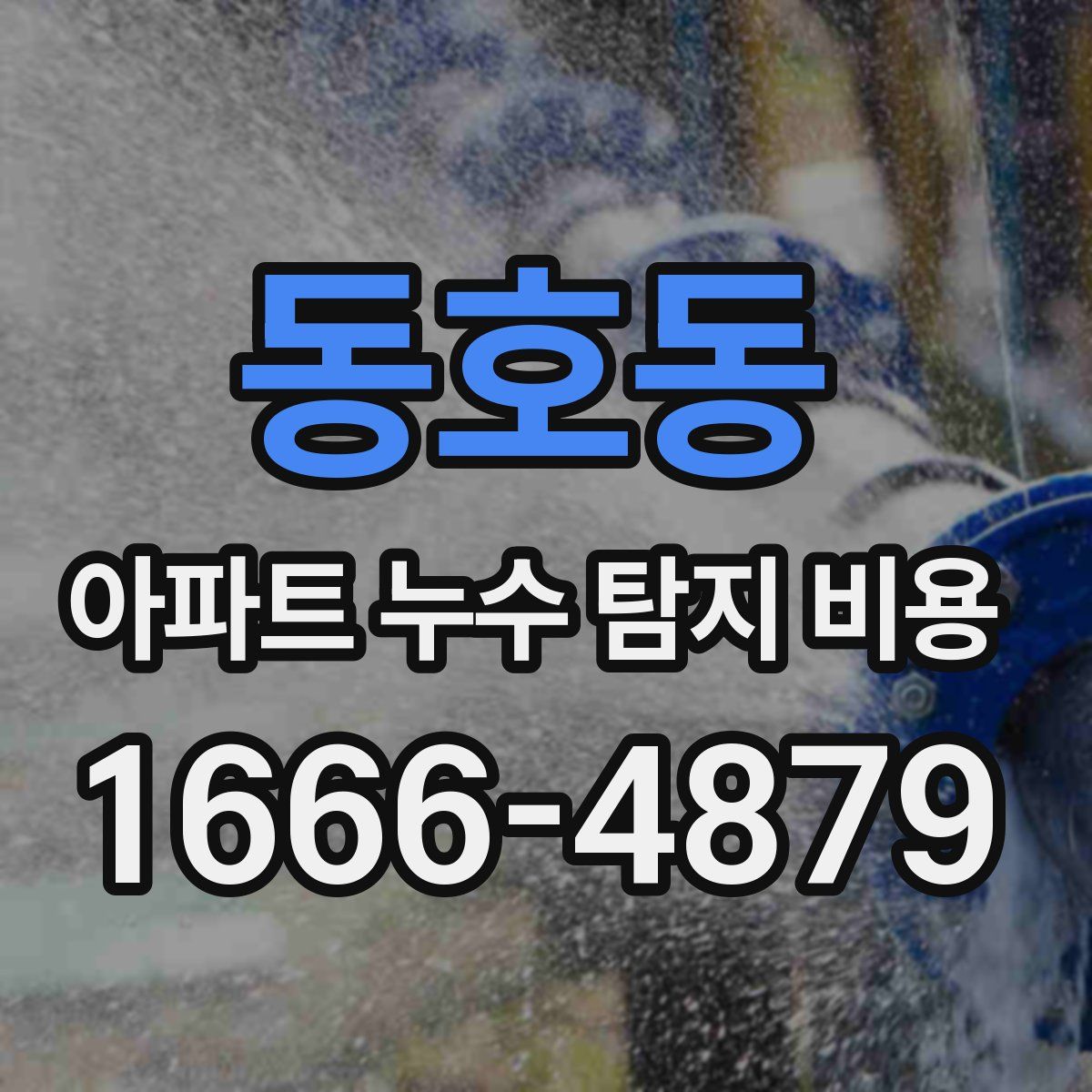 동호동 아파트 누수 탐지 비용
