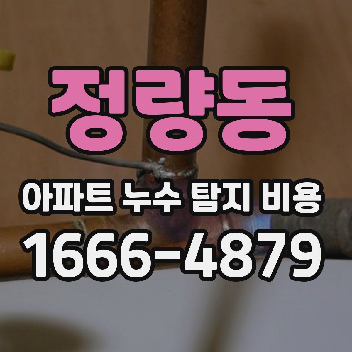 정량동 아파트 누수 탐지 비용