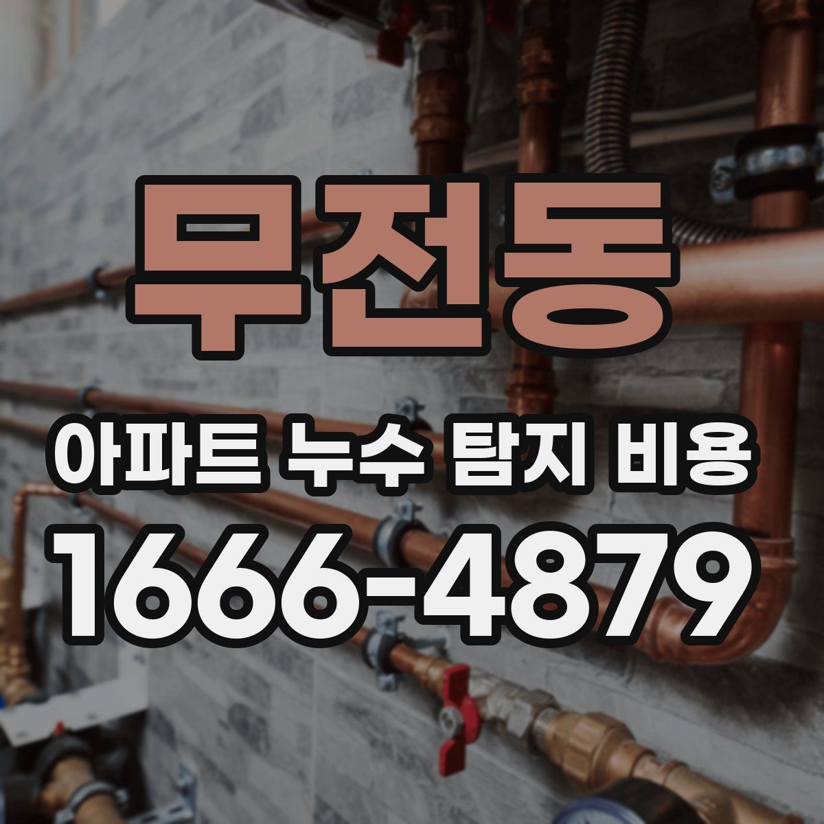 무전동 아파트 누수 탐지 비용