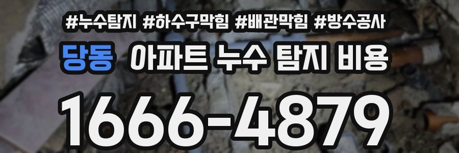 당동 아파트 누수 탐지 비용