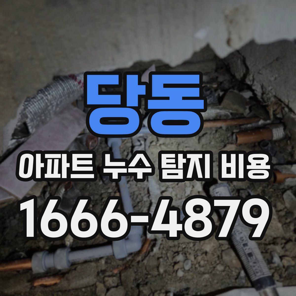 당동 아파트 누수 탐지 비용