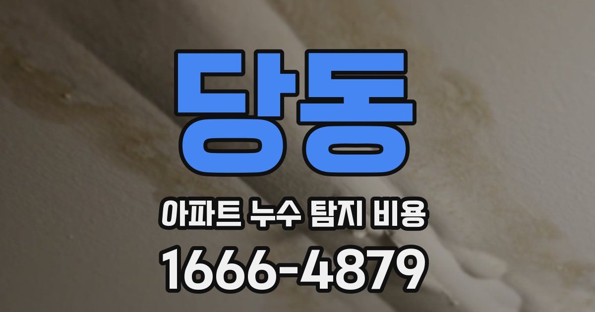 당동 아파트 누수 탐지 비용