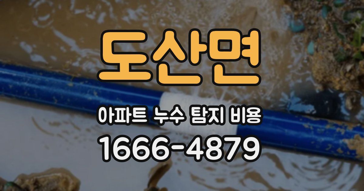 도산면 아파트 누수 탐지 비용