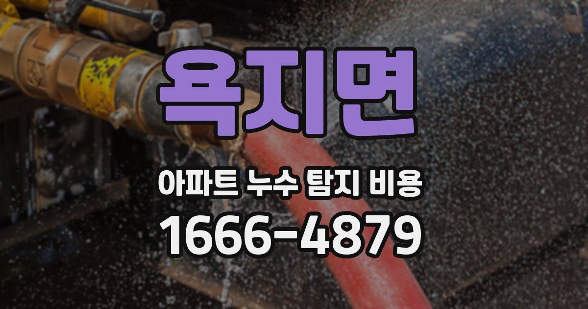 욕지면 아파트 누수 탐지 비용