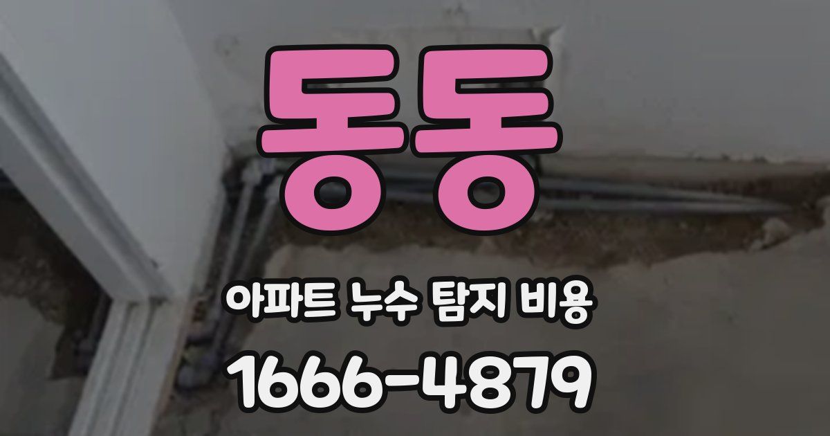 동동 아파트 누수 탐지 비용
