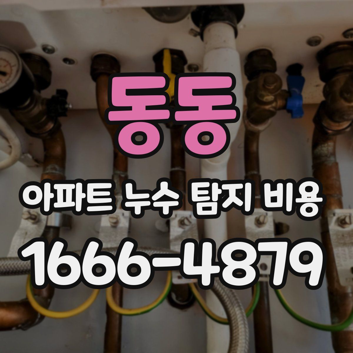 동동 아파트 누수 탐지 비용