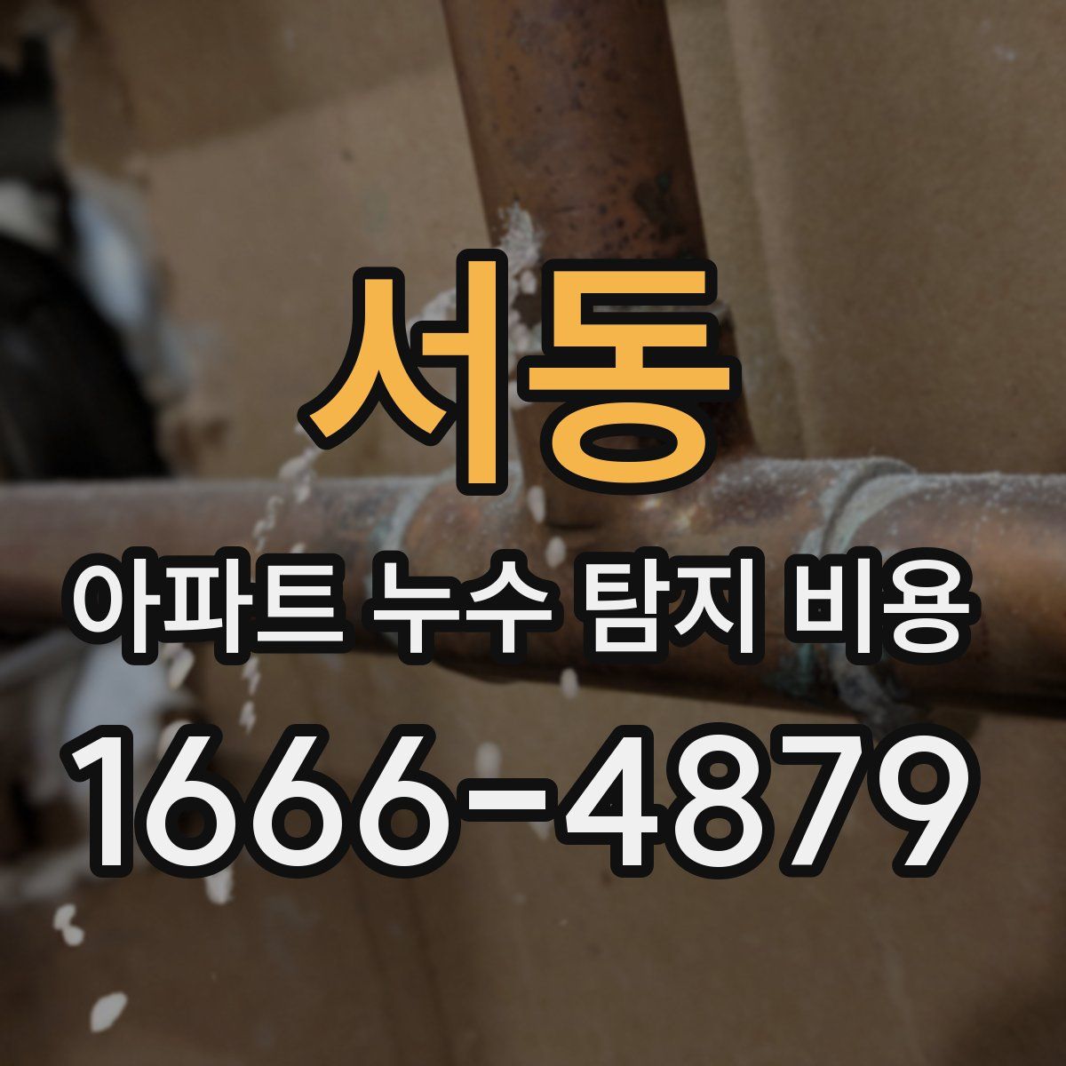 서동 아파트 누수 탐지 비용