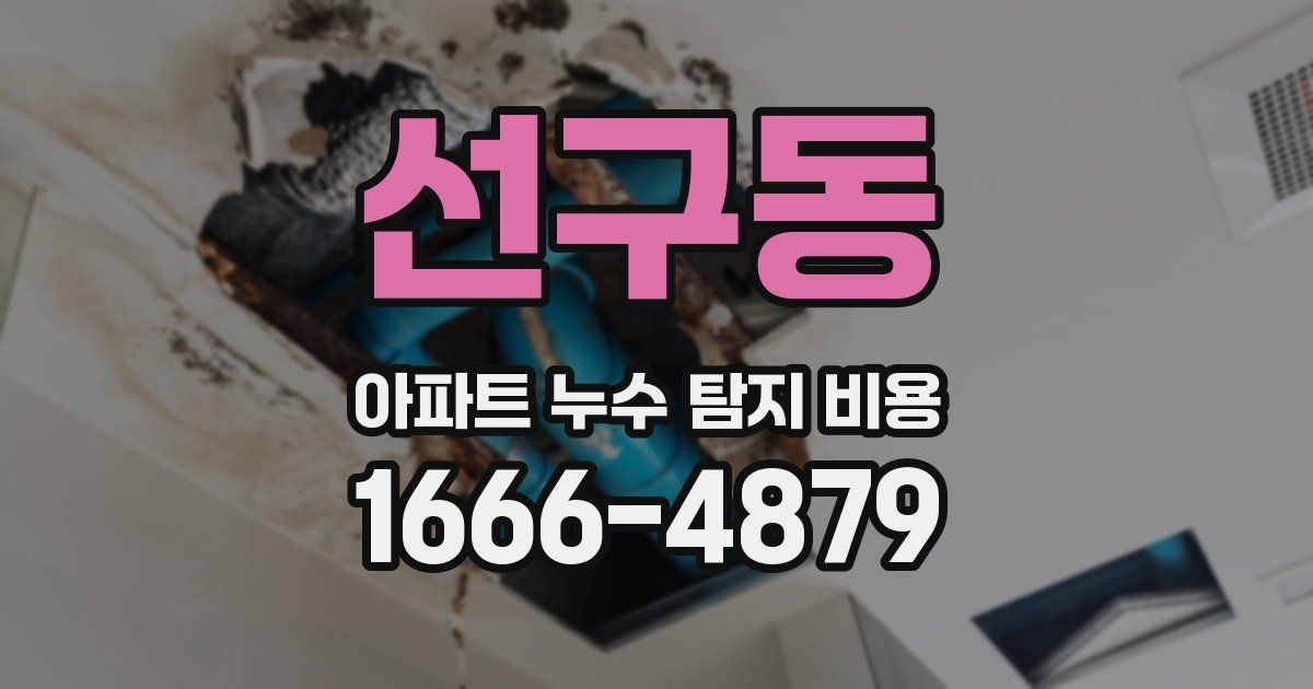 선구동 아파트 누수 탐지 비용
