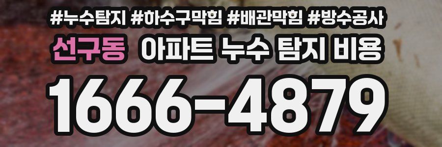 선구동 아파트 누수 탐지 비용