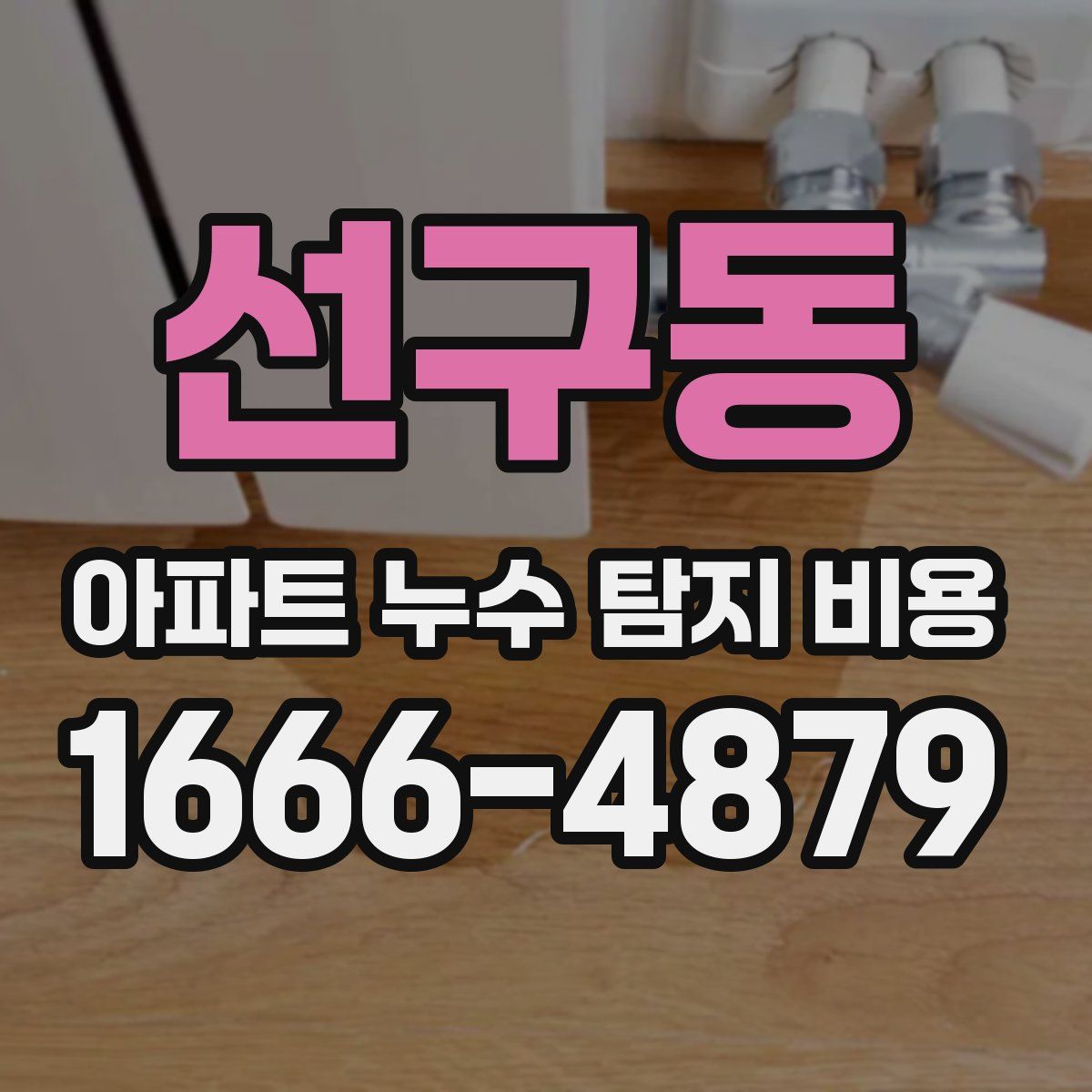 선구동 아파트 누수 탐지 비용