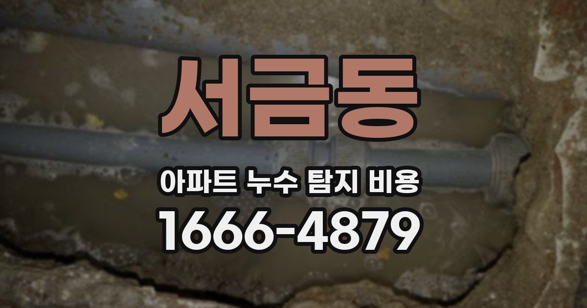 서금동 아파트 누수 탐지 비용