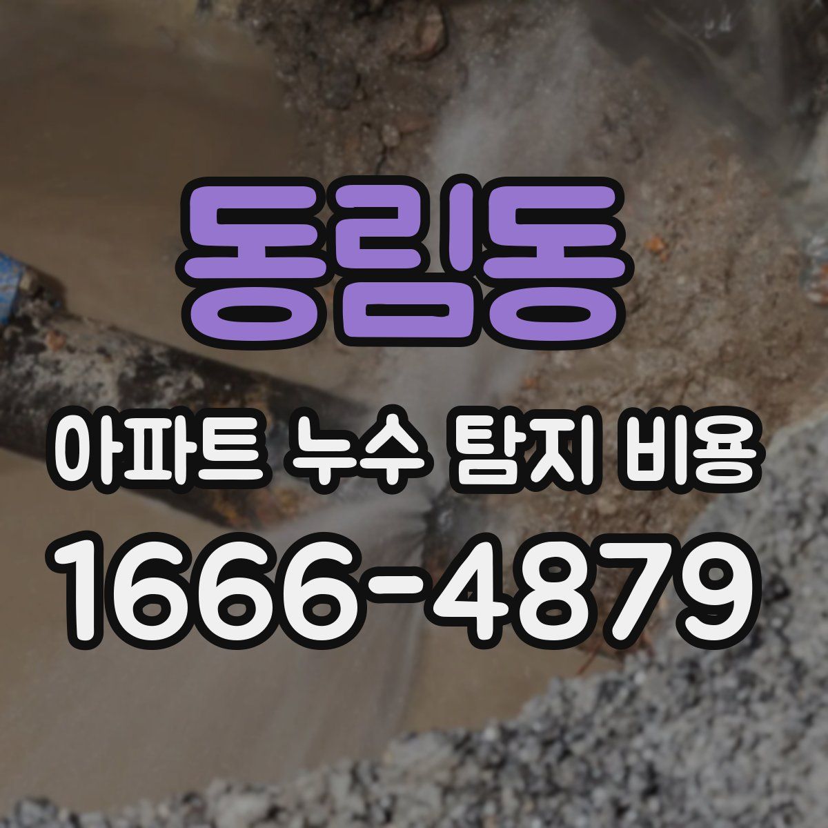 동림동 아파트 누수 탐지 비용