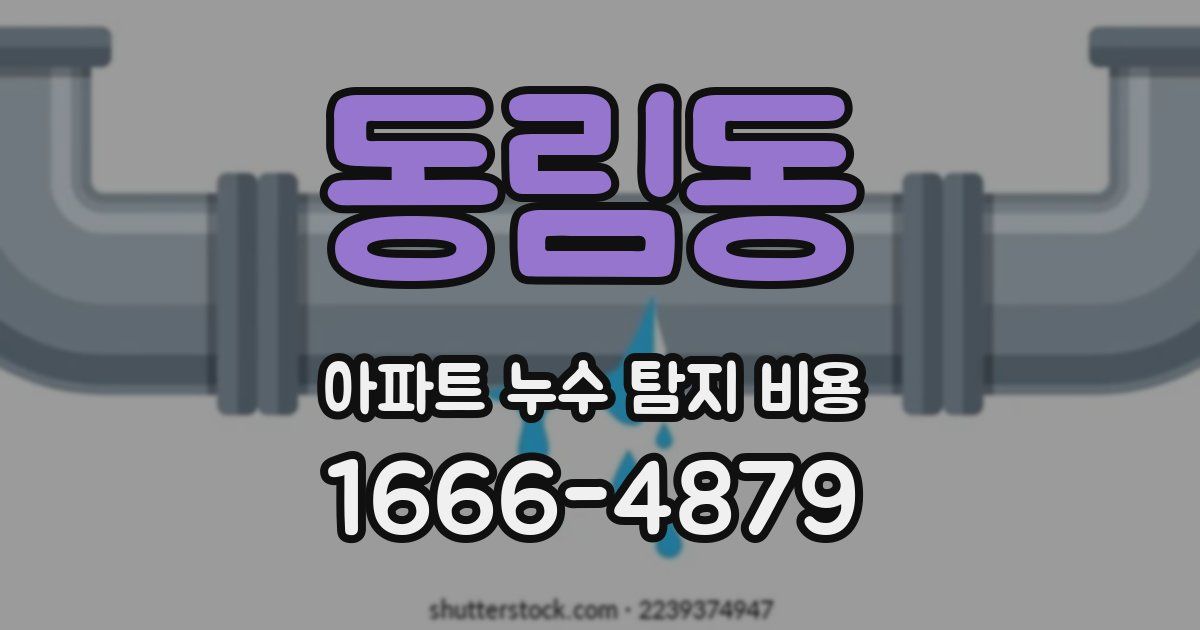 동림동 아파트 누수 탐지 비용