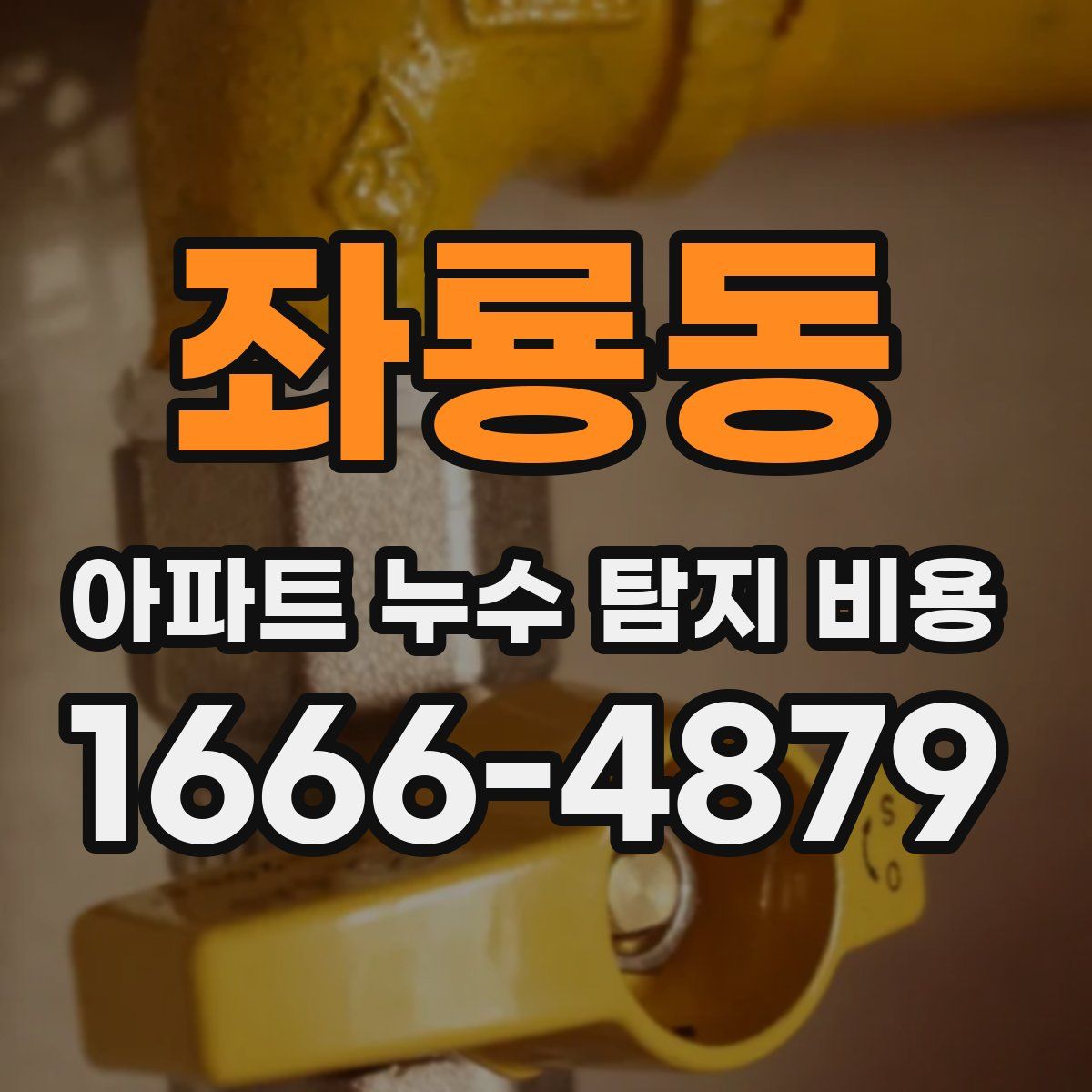 좌룡동 아파트 누수 탐지 비용