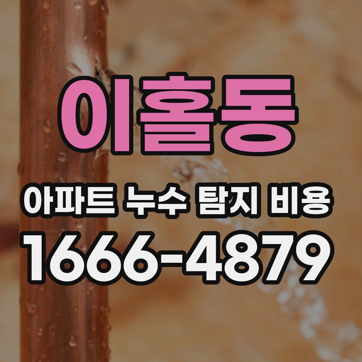 이홀동 아파트 누수 탐지 비용