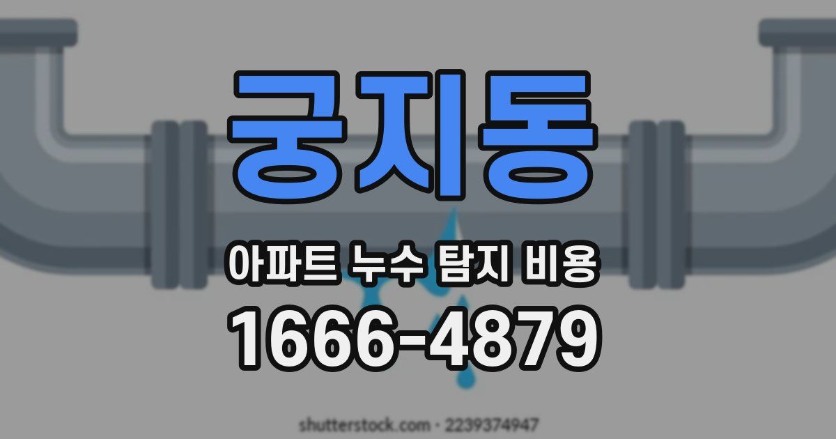 궁지동 아파트 누수 탐지 비용