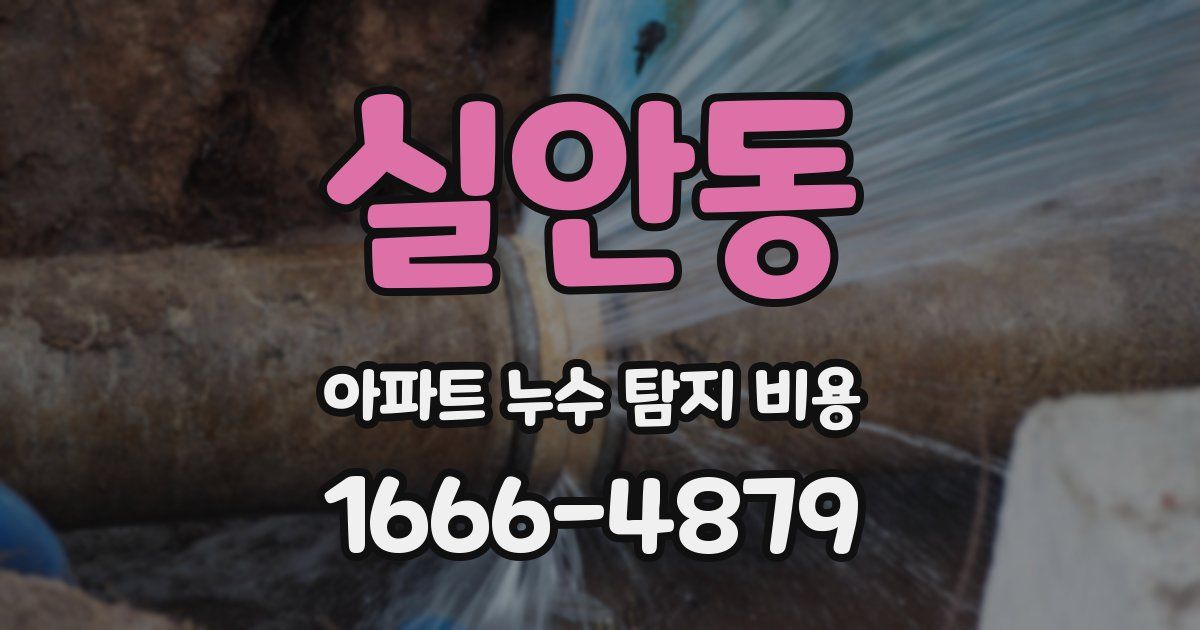 실안동 아파트 누수 탐지 비용