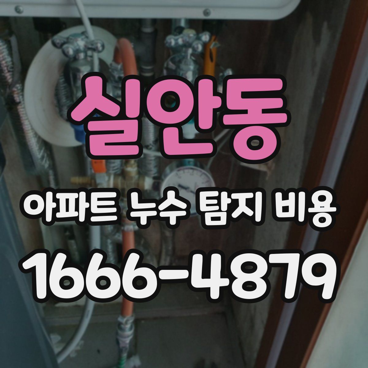 실안동 아파트 누수 탐지 비용