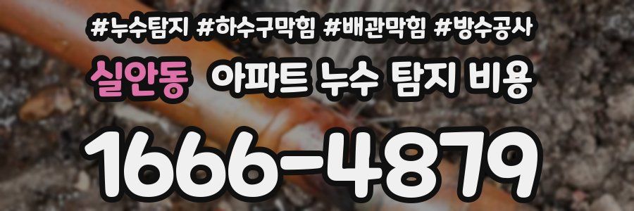 실안동 아파트 누수 탐지 비용