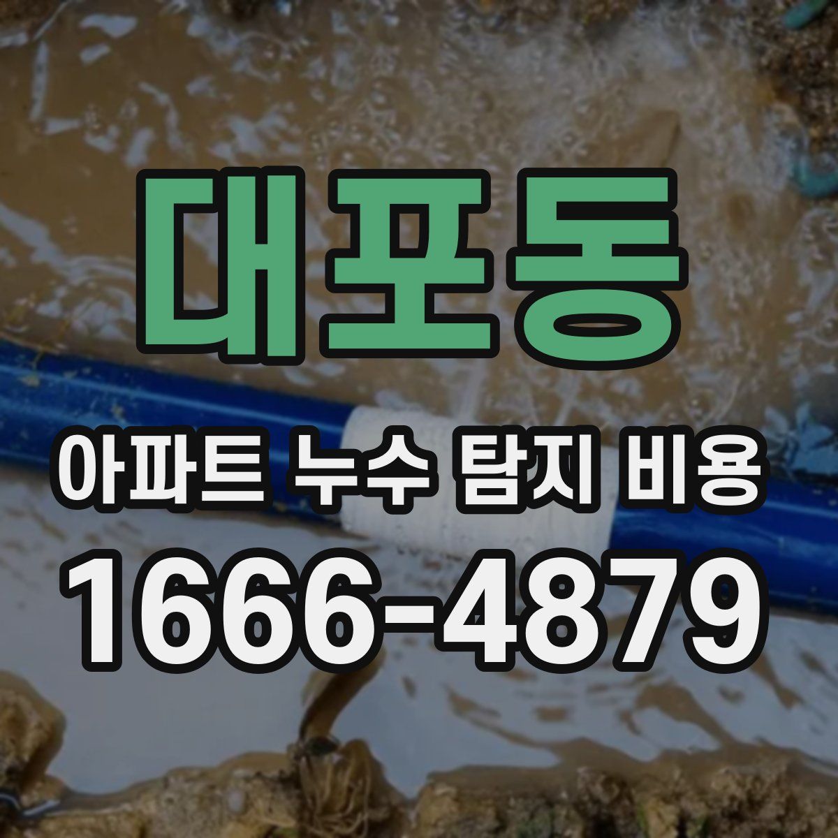 대포동 아파트 누수 탐지 비용