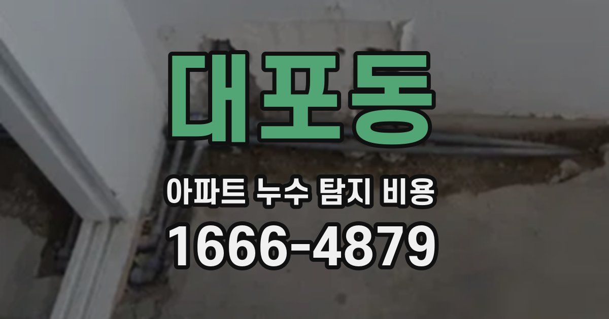대포동 아파트 누수 탐지 비용