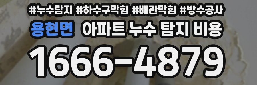 용현면 아파트 누수 탐지 비용