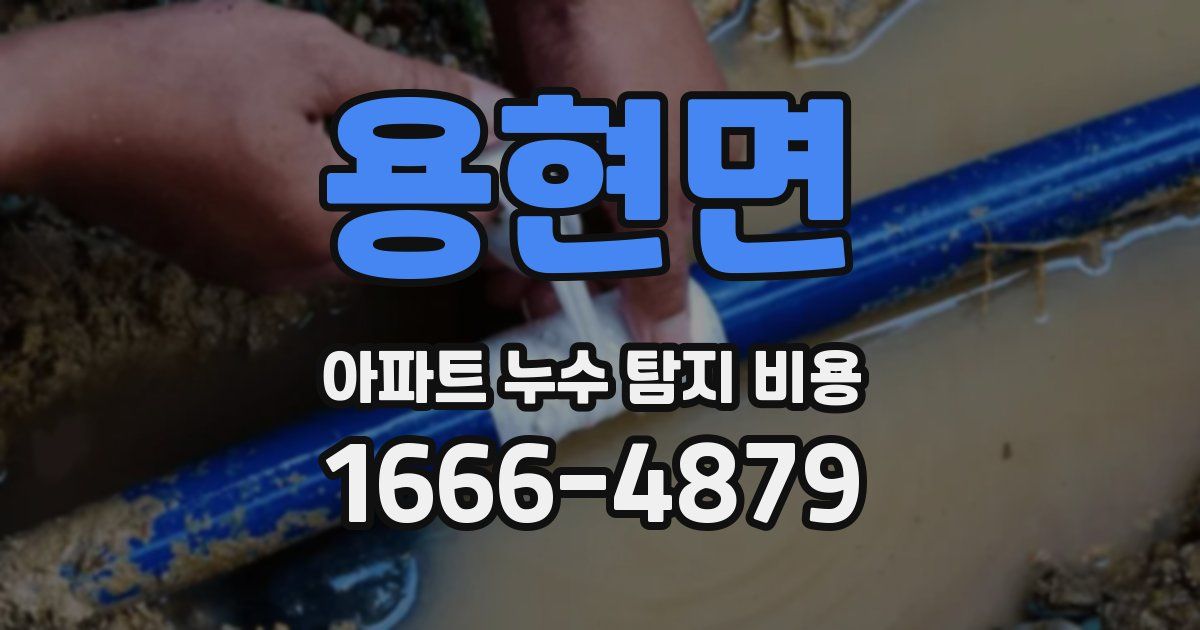 용현면 아파트 누수 탐지 비용