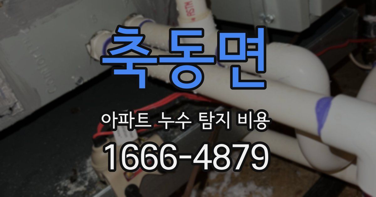축동면 아파트 누수 탐지 비용