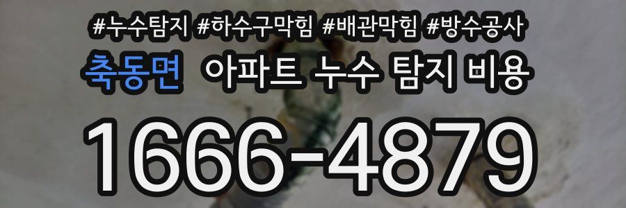 축동면 아파트 누수 탐지 비용