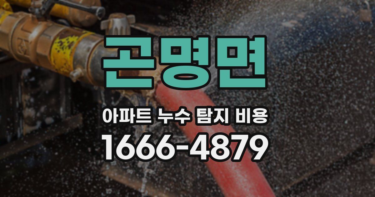 곤명면 아파트 누수 탐지 비용