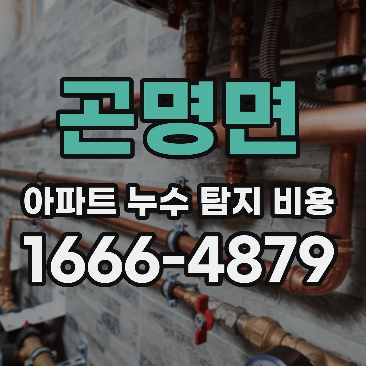 곤명면 아파트 누수 탐지 비용