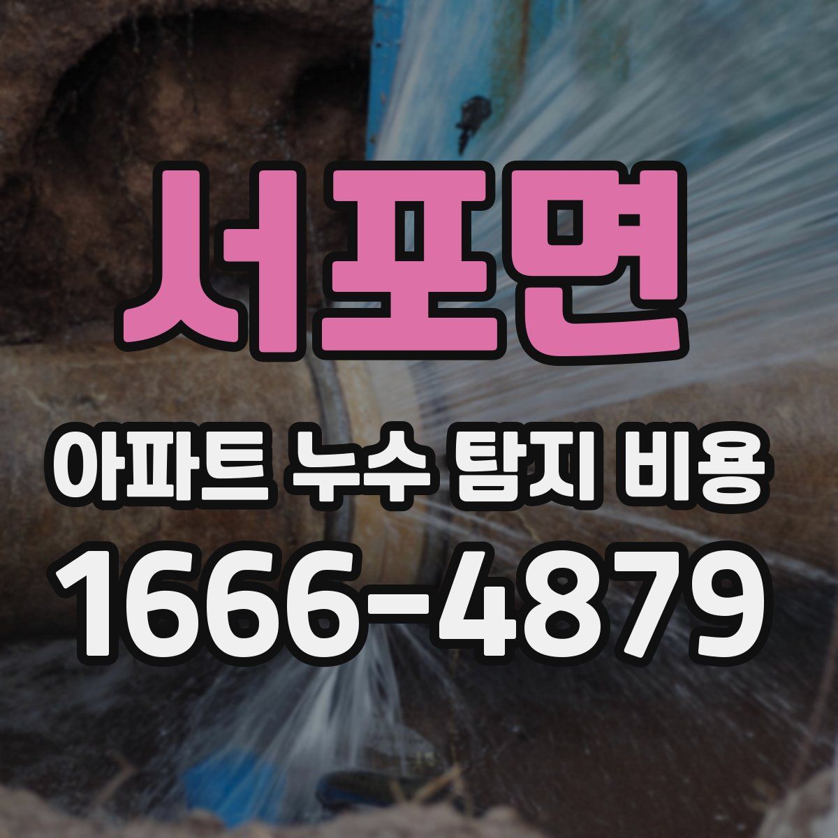 서포면 아파트 누수 탐지 비용