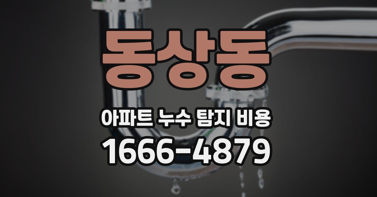 동상동 아파트 누수 탐지 비용