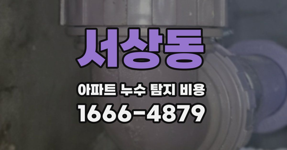 서상동 아파트 누수 탐지 비용