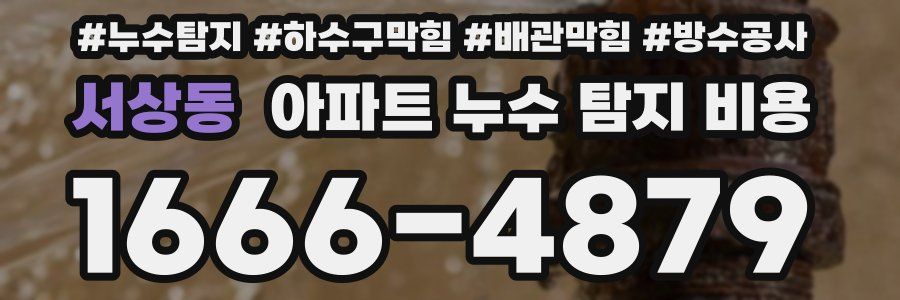 서상동 아파트 누수 탐지 비용
