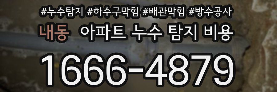 내동 아파트 누수 탐지 비용