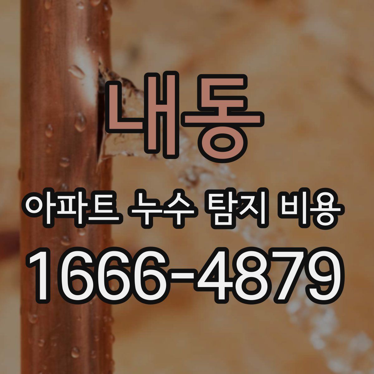 내동 아파트 누수 탐지 비용