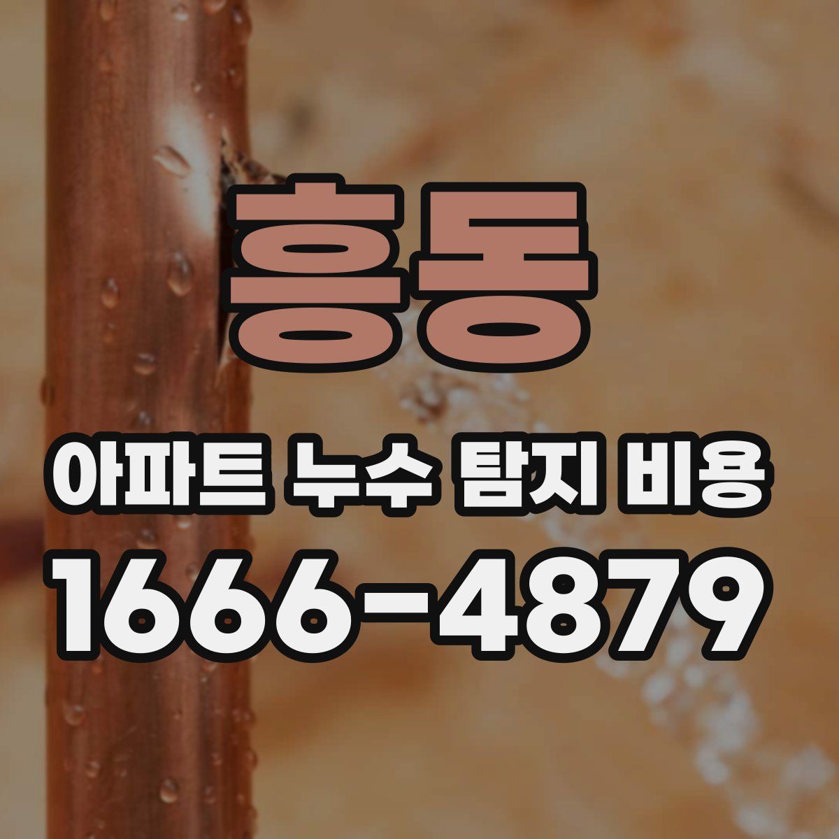 흥동 아파트 누수 탐지 비용