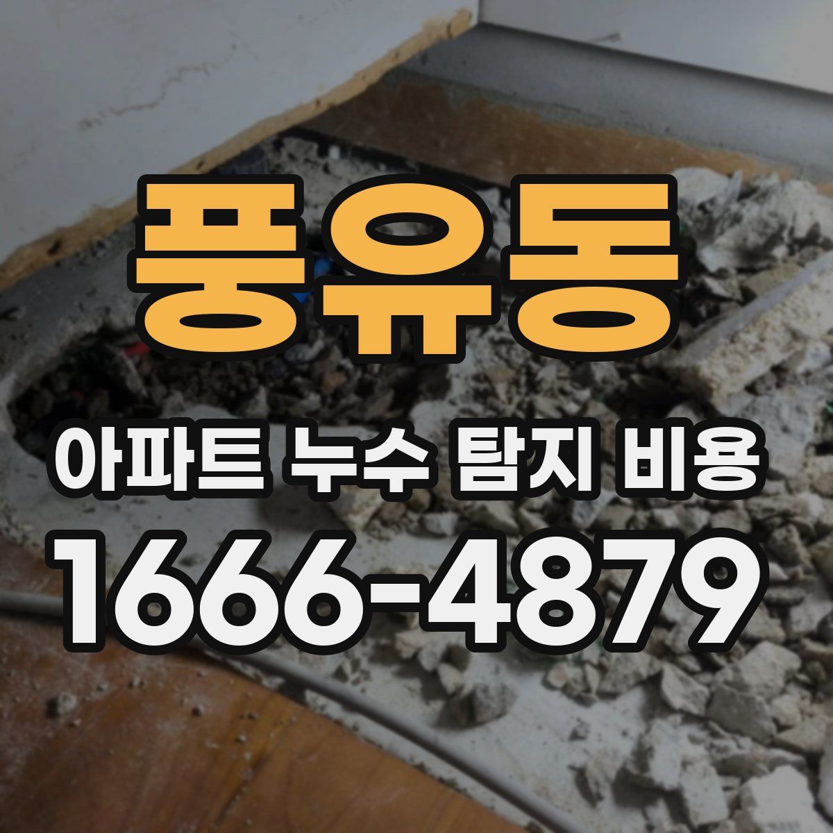풍유동 아파트 누수 탐지 비용