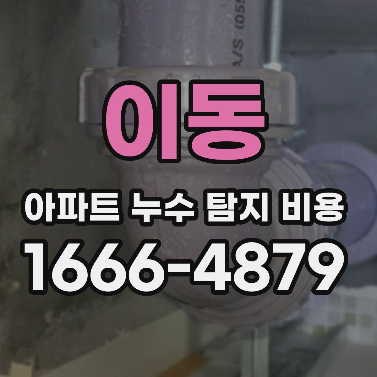 이동 아파트 누수 탐지 비용