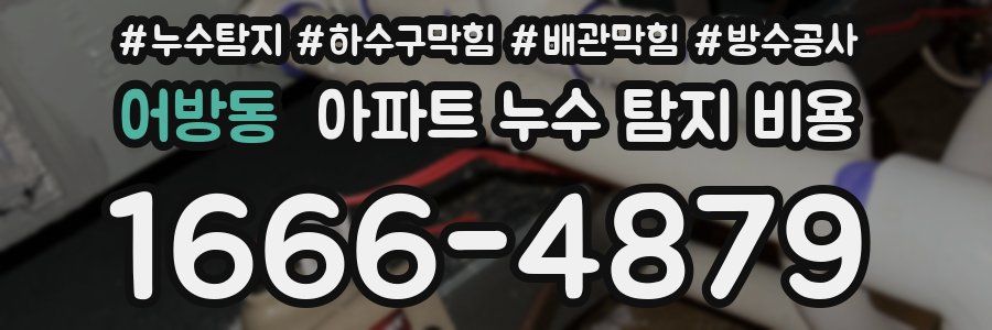 어방동 아파트 누수 탐지 비용