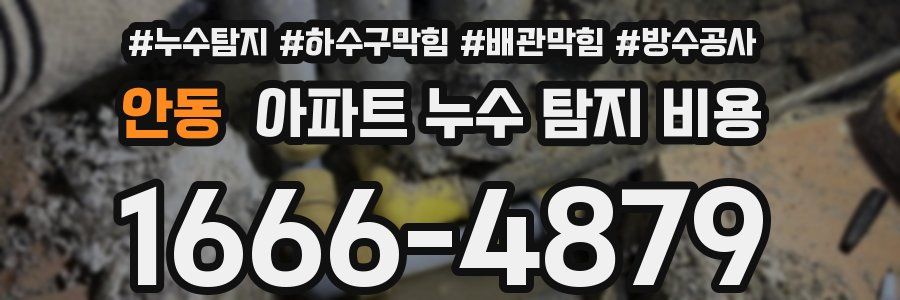 안동 아파트 누수 탐지 비용