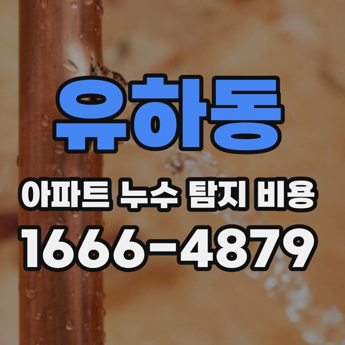 유하동 아파트 누수 탐지 비용