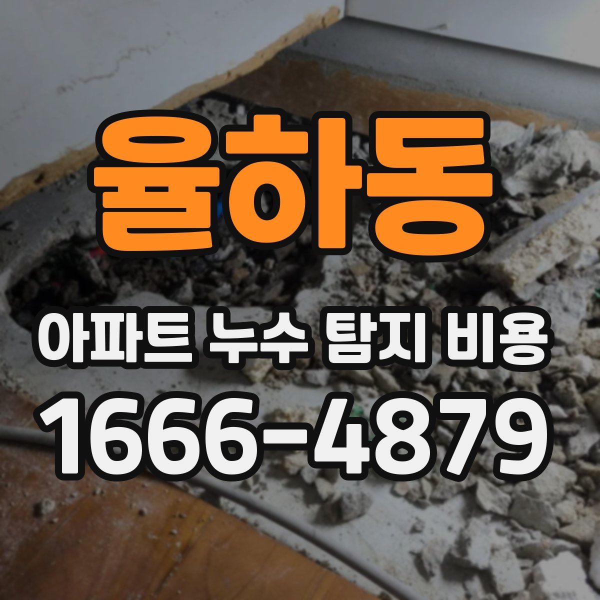 율하동 아파트 누수 탐지 비용