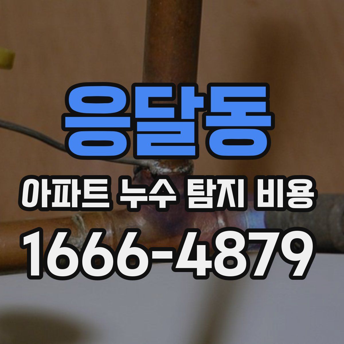 응달동 아파트 누수 탐지 비용